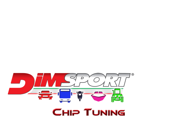 dimsport1